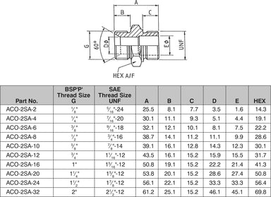 1/2" BSPP CONE SEAT x 1.1/16-12 SAE MALE / MALE ADAPTOR-ACO-2SA-08-12 - Custom Fittings