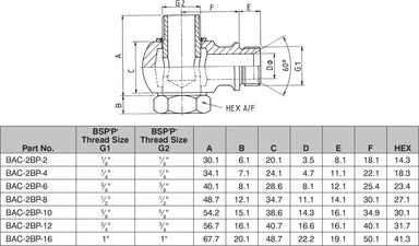 1/4" BSPP CONE SEAT MALE BANJO ADAPTOR (BODY ONLY)-BAC-2BP-04 - Custom Fittings